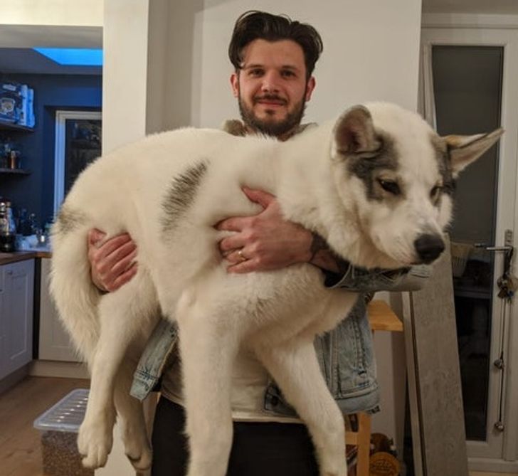 d711d35ddc97f7c26542ac6b53