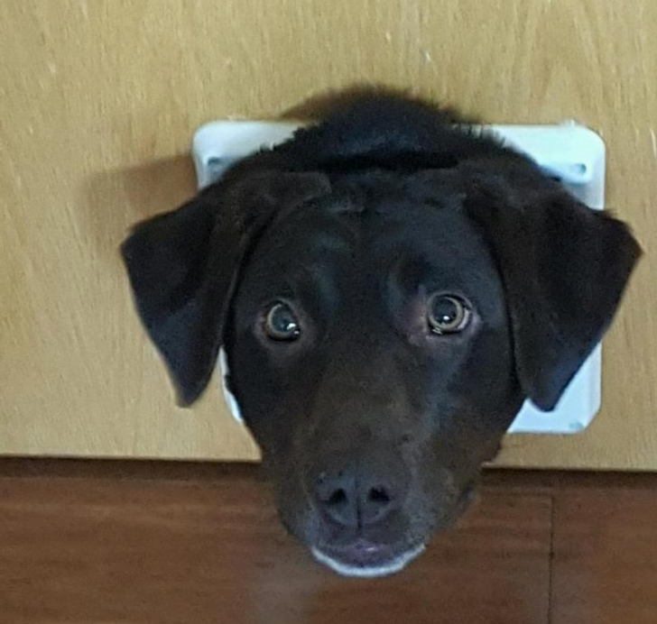 d71af7509088b9e2d2637af545