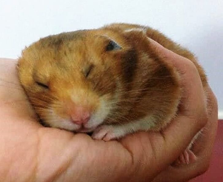 d7203f5a57b6d0845a4ab8b035