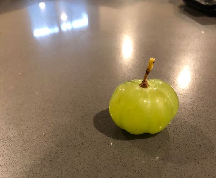 d72471543aac9e238e112797c3