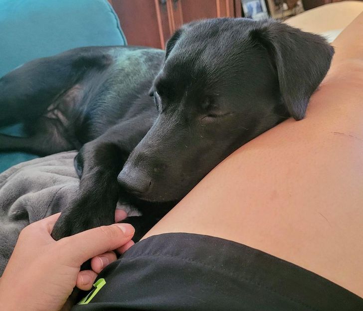 d730a95d4ab91045e04fcece35