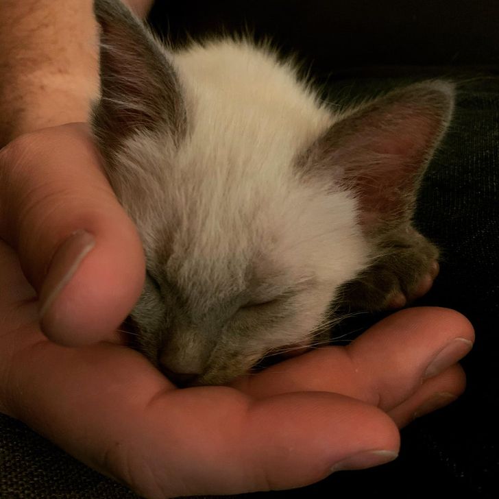 d73d63536c9a21a738afe8fc71