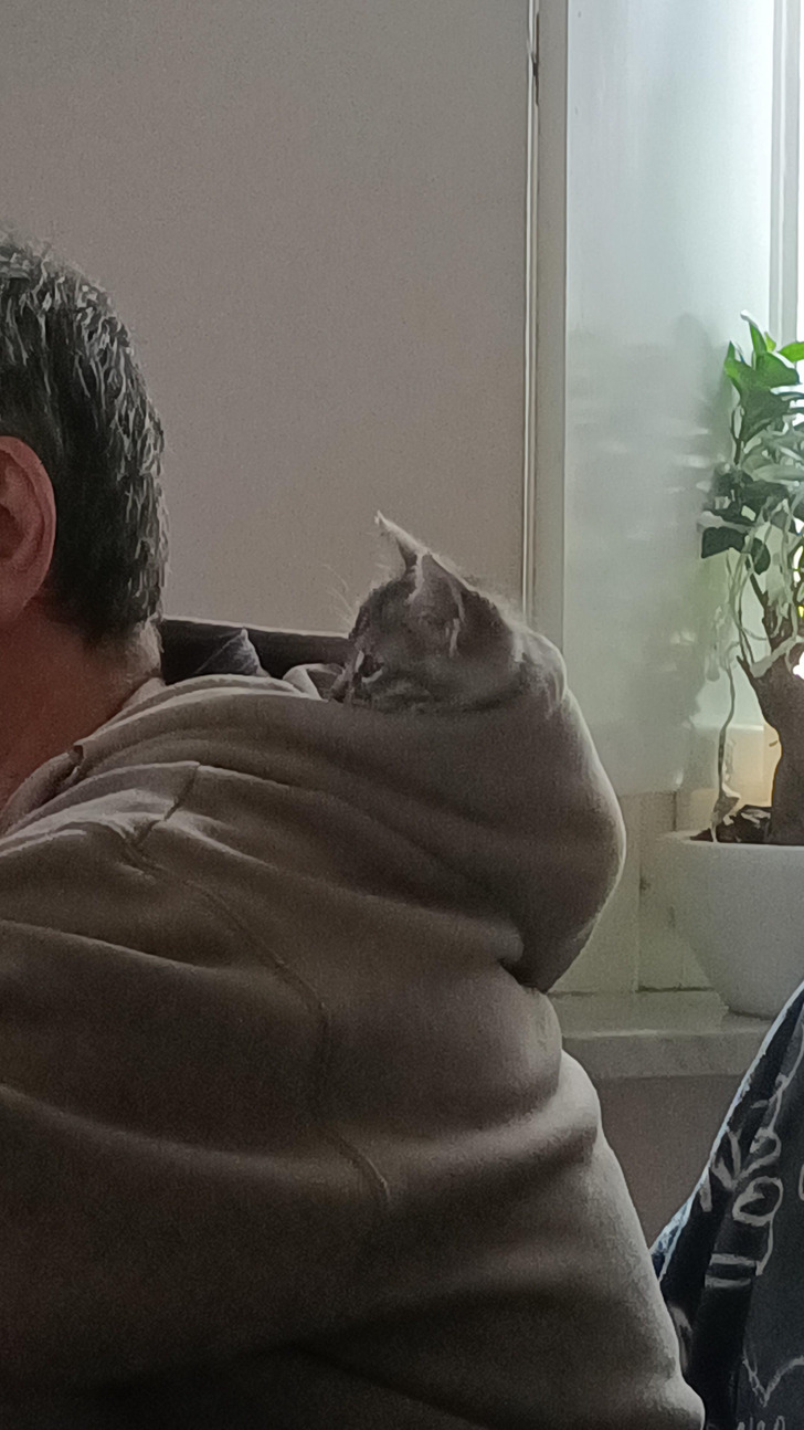 d7481f5d44846051625d349ea8 d7481f5d44846051625d349ea8