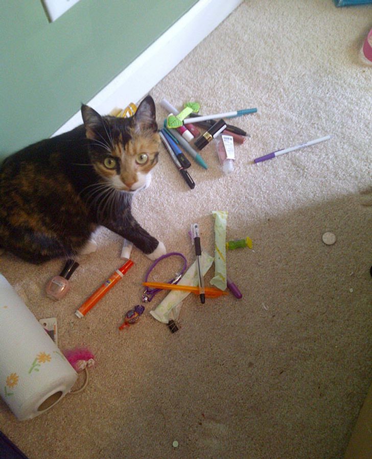 d74cf15c3cb3c04e85642fabfc