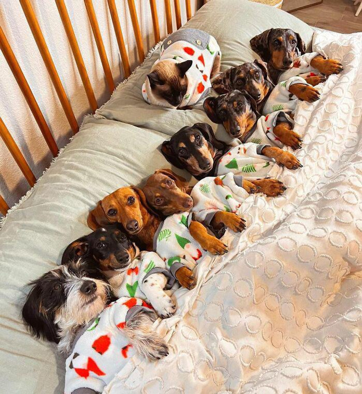 d74fc8550d9fb45c064343ff23