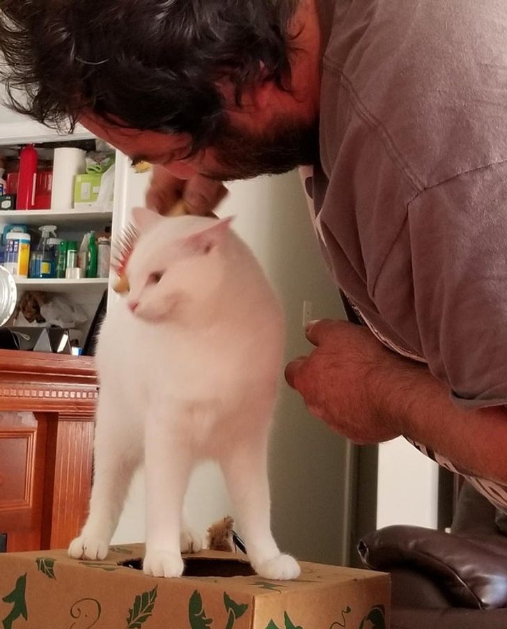 d7510150cfa69228126c6c6055