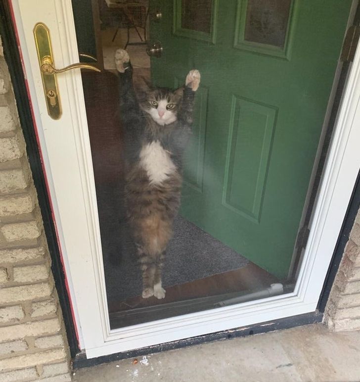 d75bb15c5dadf8df232432f263