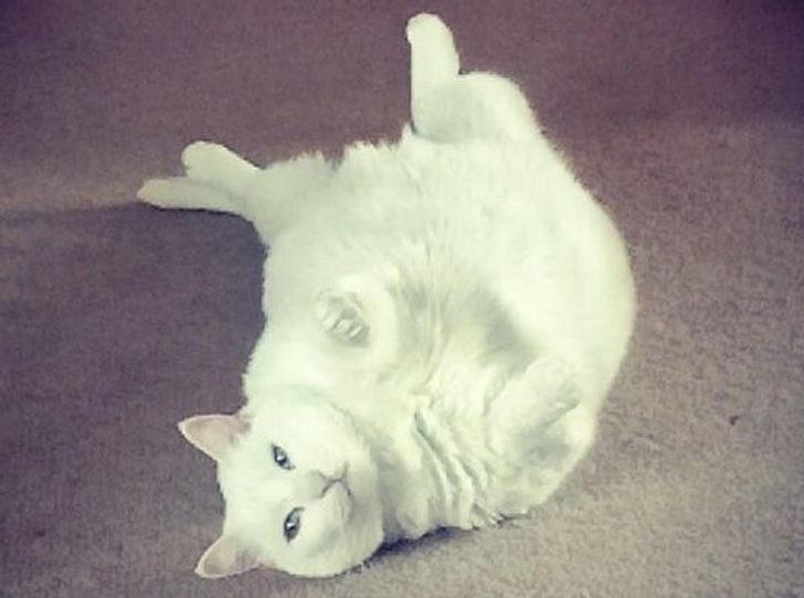 d75c8657fa9a1cbd79fd768d17