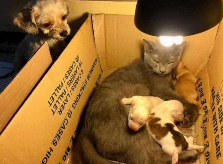 d760aa52d5bc81815b5a0fde24