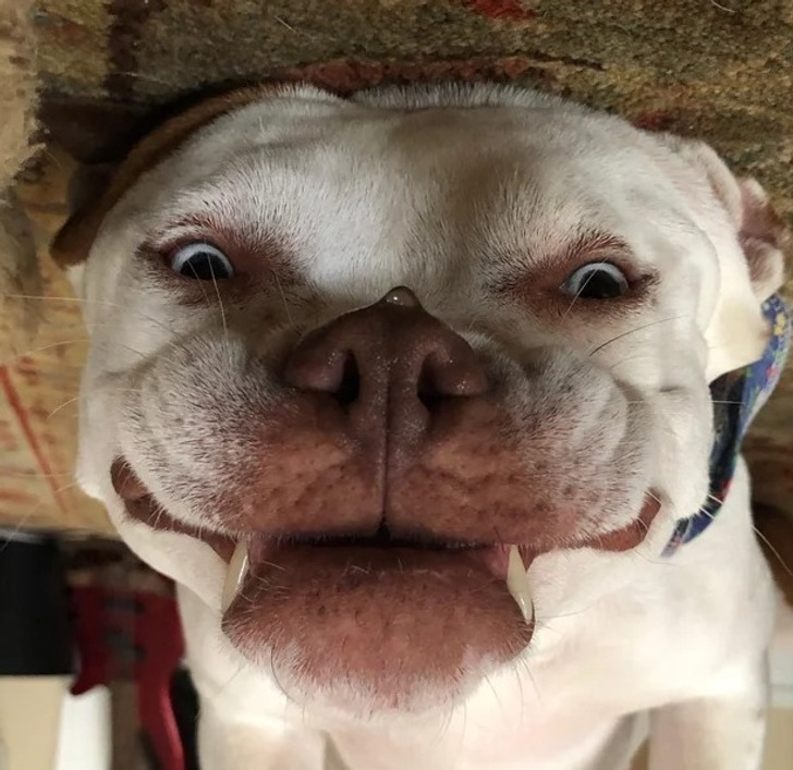 d763ab537594f3c241d68cfc15