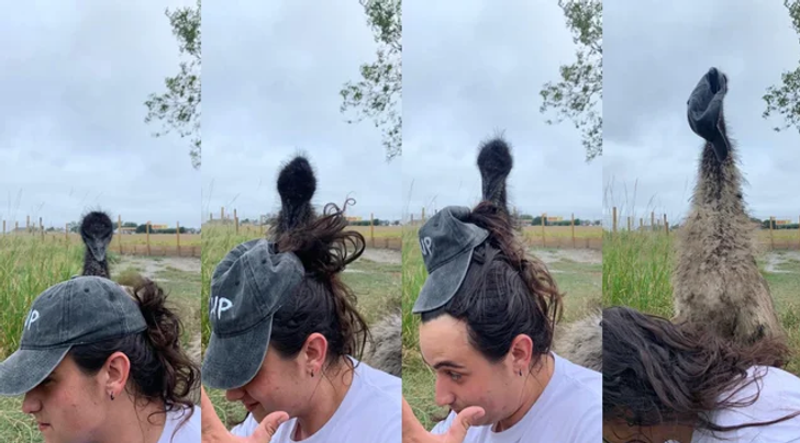 d766ac5a1993cea1d1339fd0e0