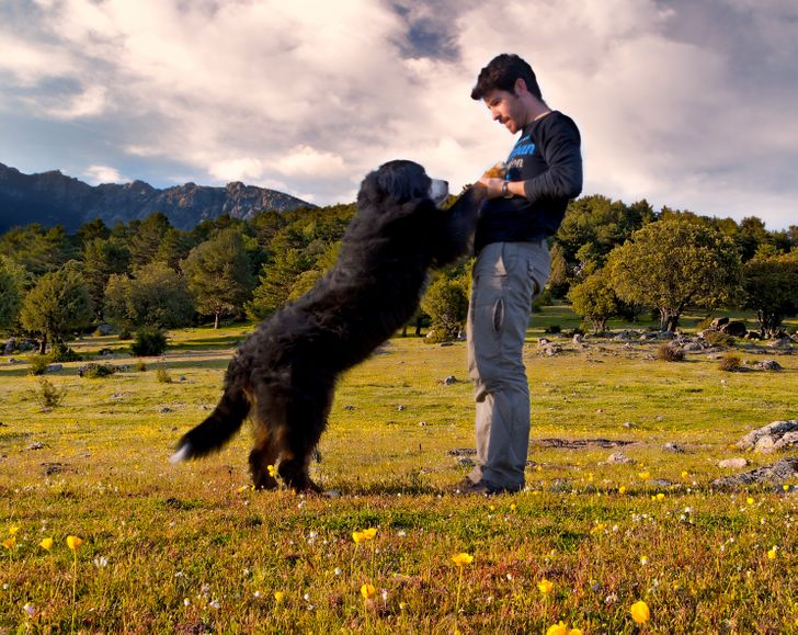 d7692154e6b054c2830c0777e6