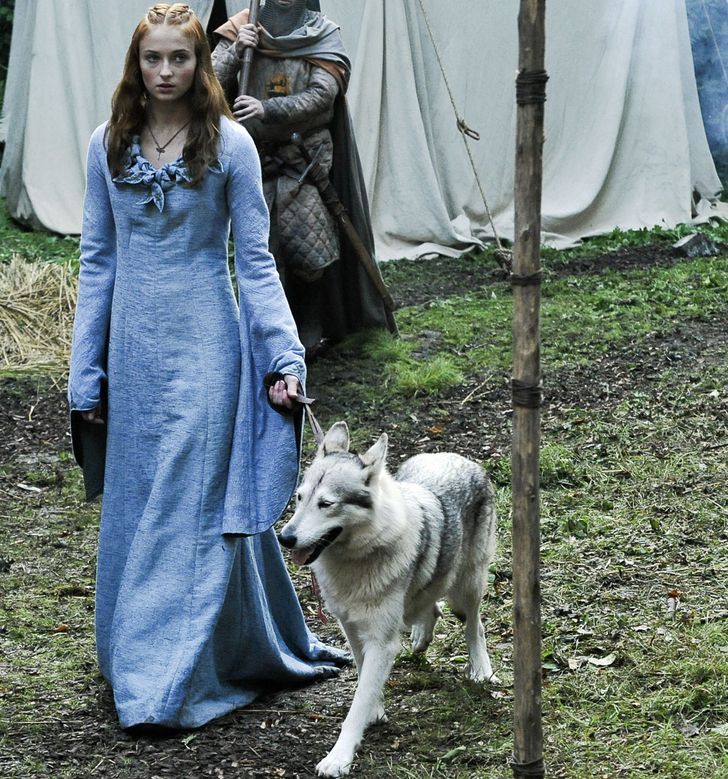 d76a2656f98352393fef2f36e5