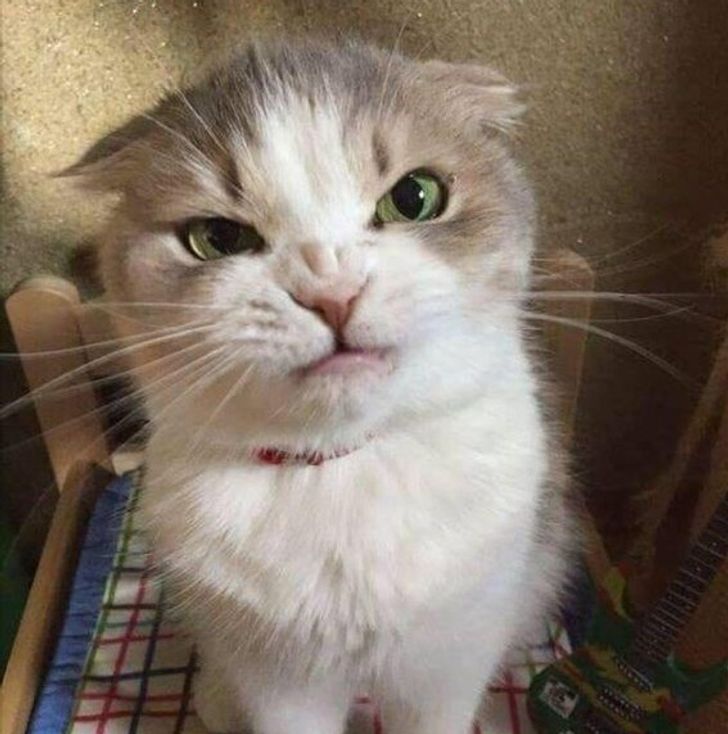 d76ea057c6ab0bb4ae6188e9dd