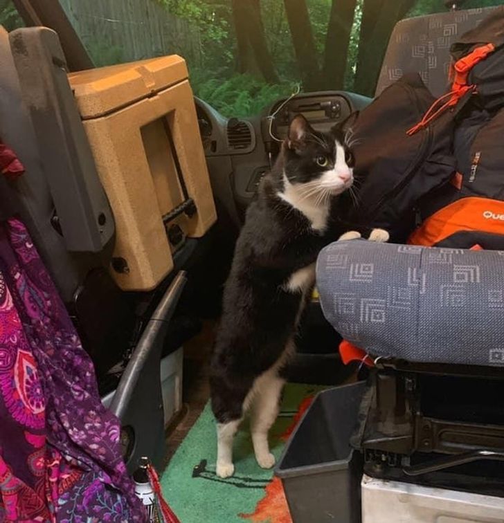 d7750d5dcdb3fc4b9644a10a53 d7750d5dcdb3fc4b9644a10a53