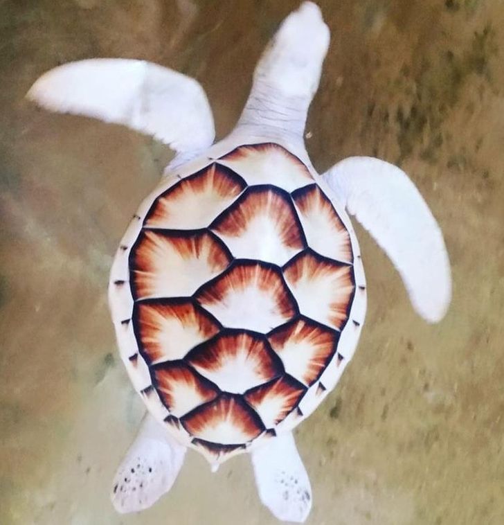 d77be650a68d0278956361a6cd