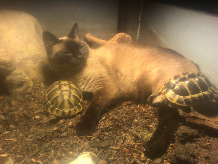 d77e875eca881e7008179c883f d77e875eca881e7008179c883f