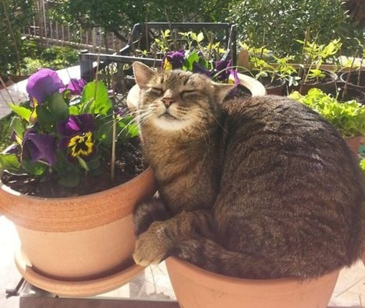 d77fd458ac8c4fbdcf2c8b21c1