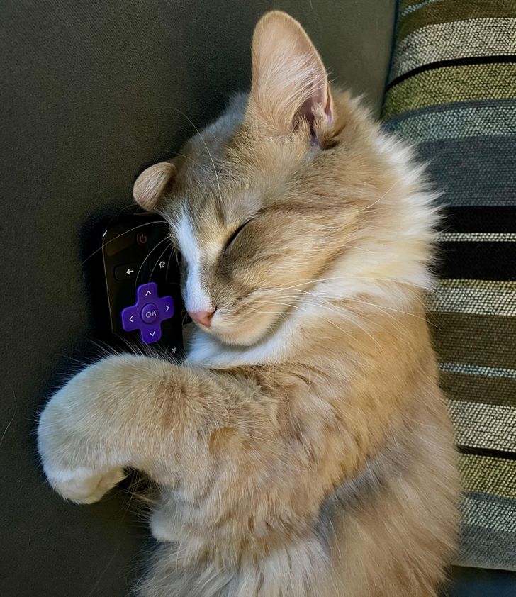 d7915453a6af07d237251bc680