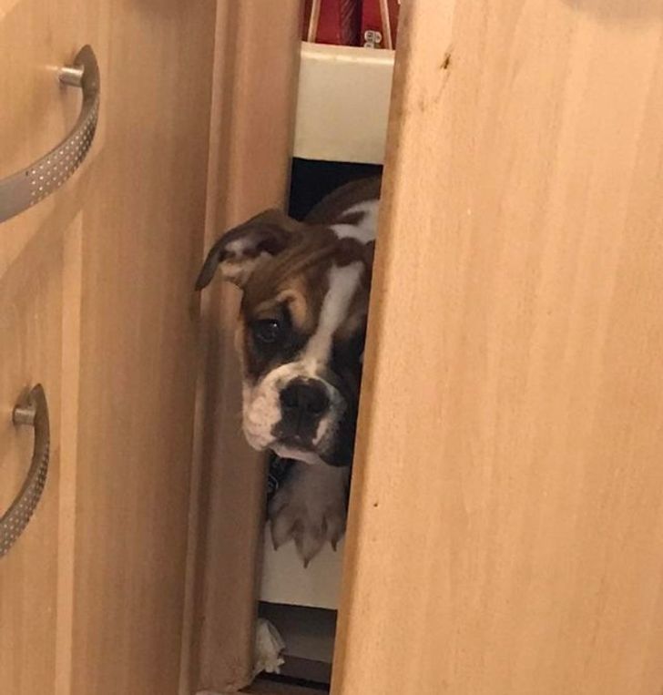 d795de5b0cb8b40b19c98dc72c