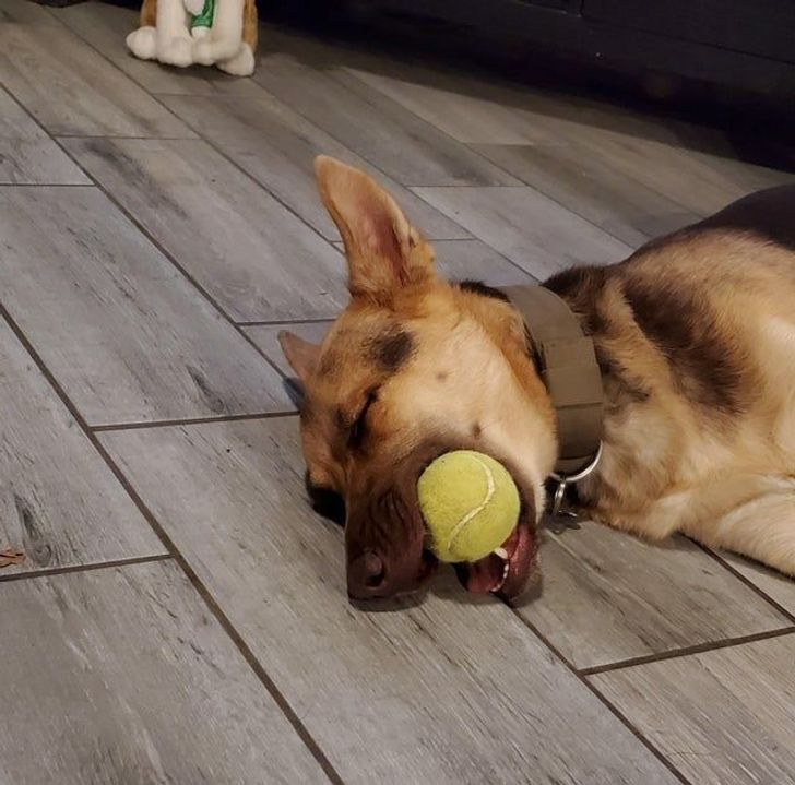 d79d0d582bafa62c9053dd3924