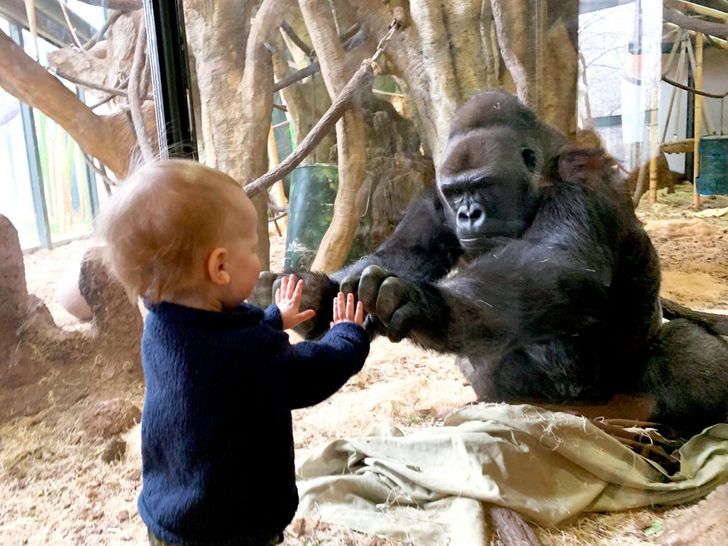 d7a2825ac4aced1d1ce0117eae