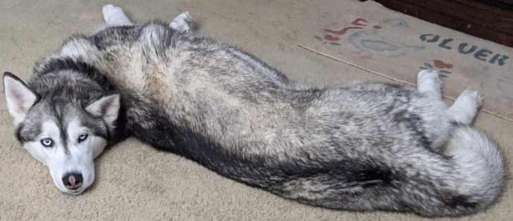 d7a449506db1a6ca33553f784e