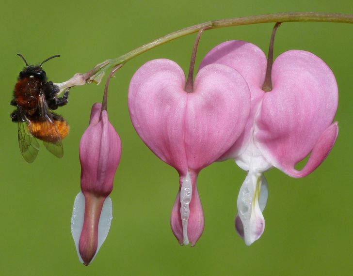 d7a5de51858f5e4dce6db6f2c6 d7a5de51858f5e4dce6db6f2c6