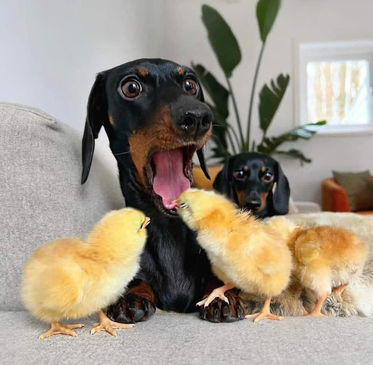 d7ab9b5da6a0bdc55d41c2141e