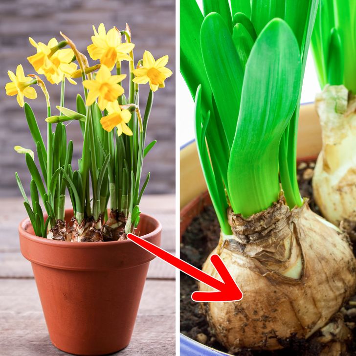 d7b14b5869a73b1e931501942f