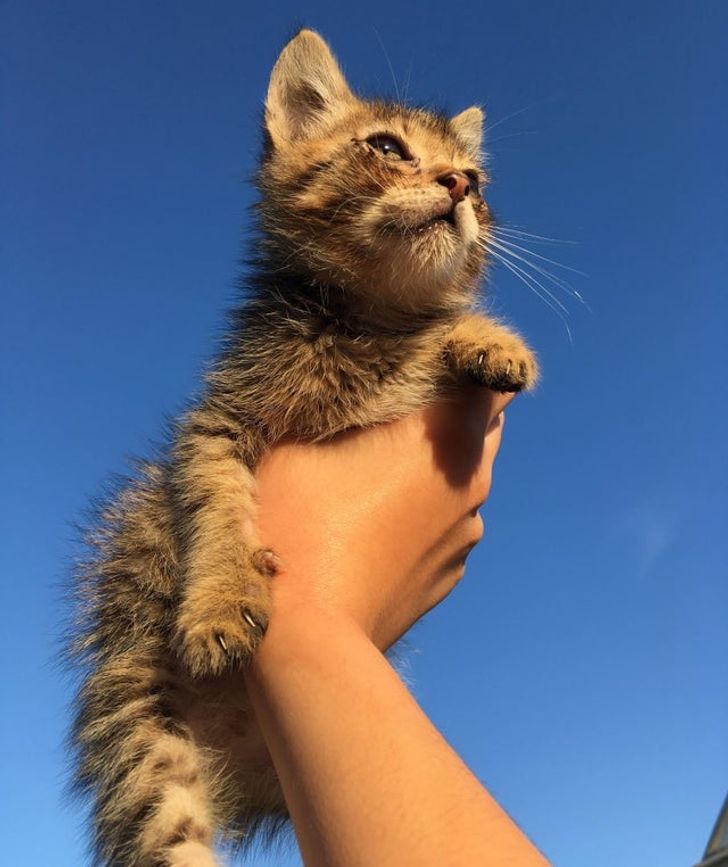 d7b33354bb9e04cdcb5fab617c