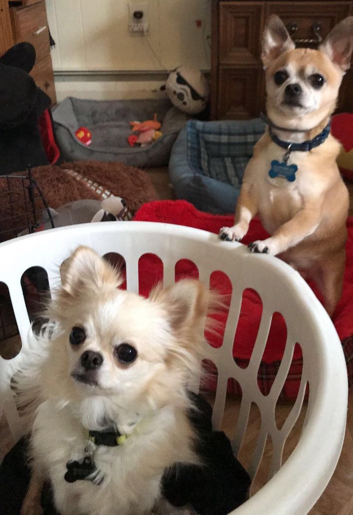 d7b54452b7a1258b67de6dcd3d