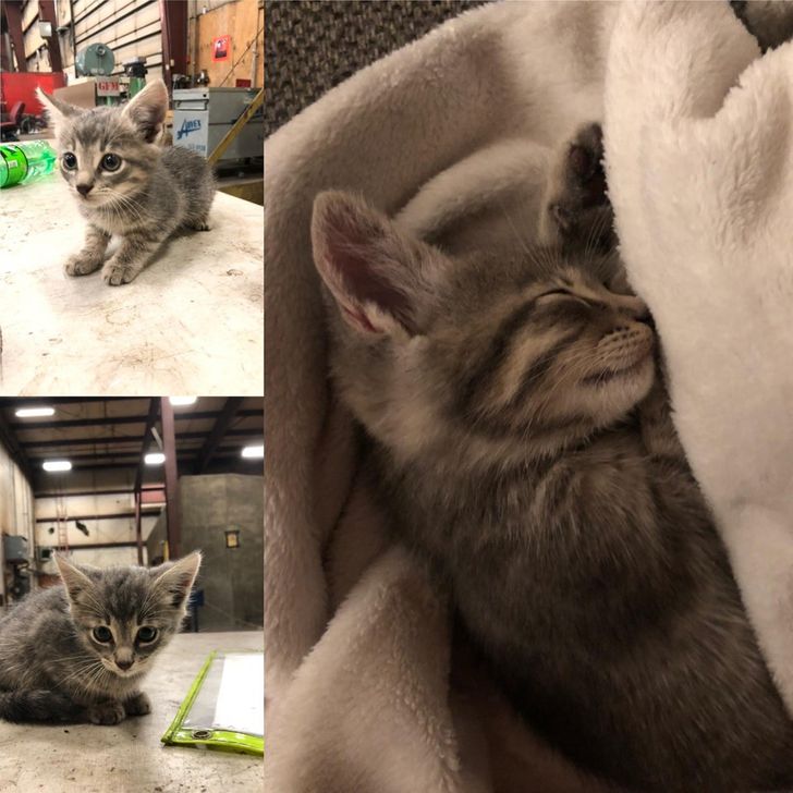 d7b9b9555e8a4e3b1652742b9e