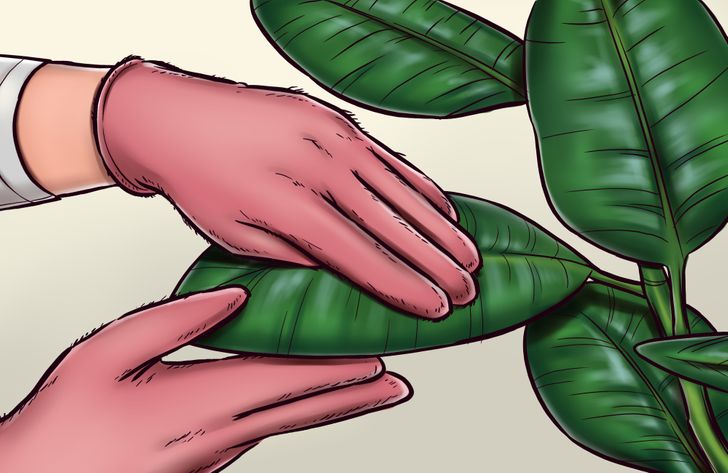 d7c1d55042970fdf51a7d05122