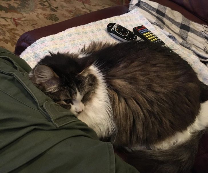 d7c44e5963896eb48e62742fb3