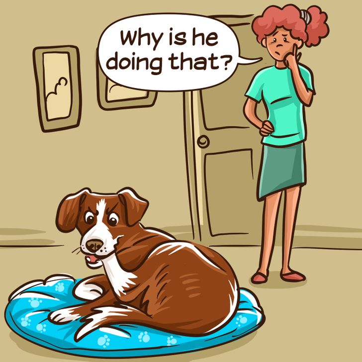 d7d4355315a24cfdca69d920d3