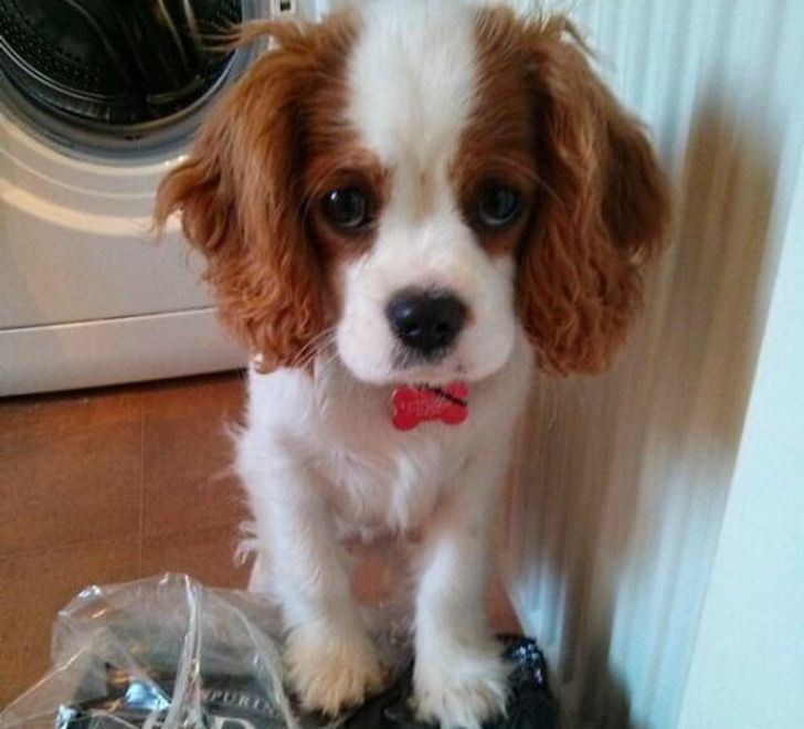 d7d973598e9f28d7deb9d4d608