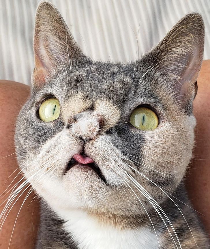 d7dbee53cabcf0f6615c3f1165