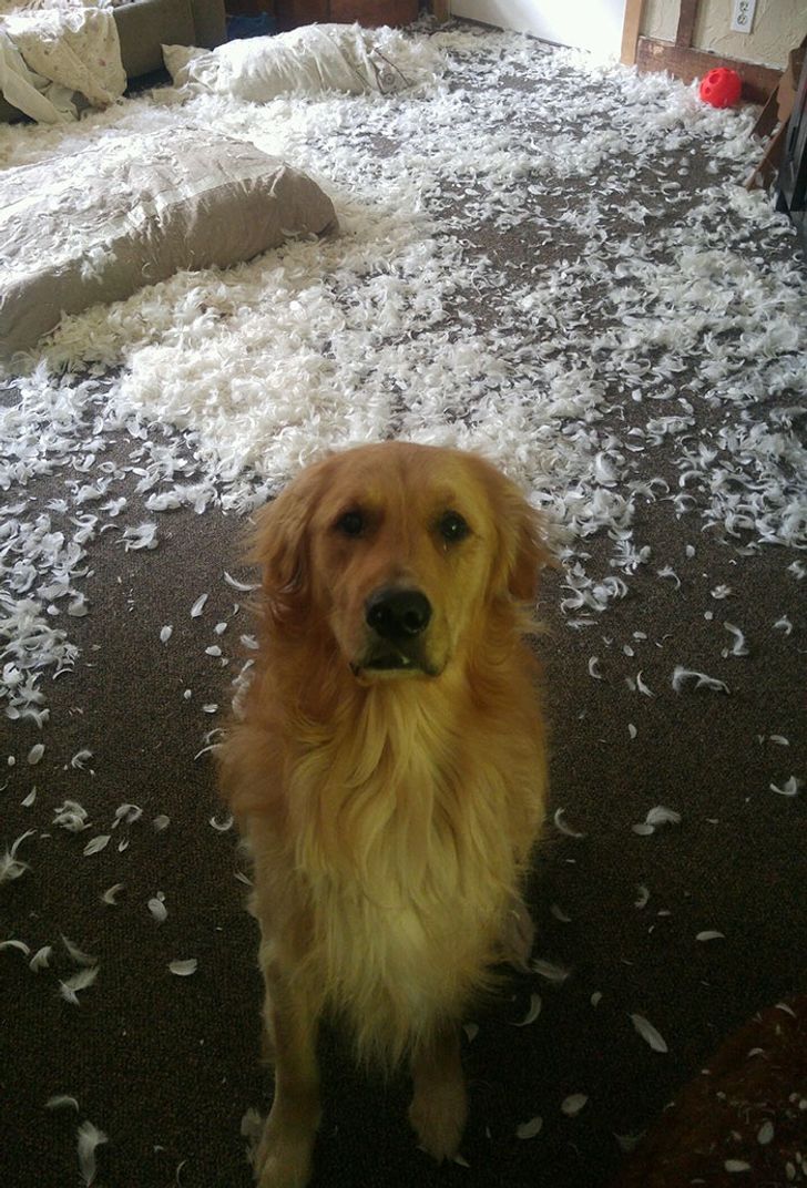 d7f4e65f0280907838dcba91a7