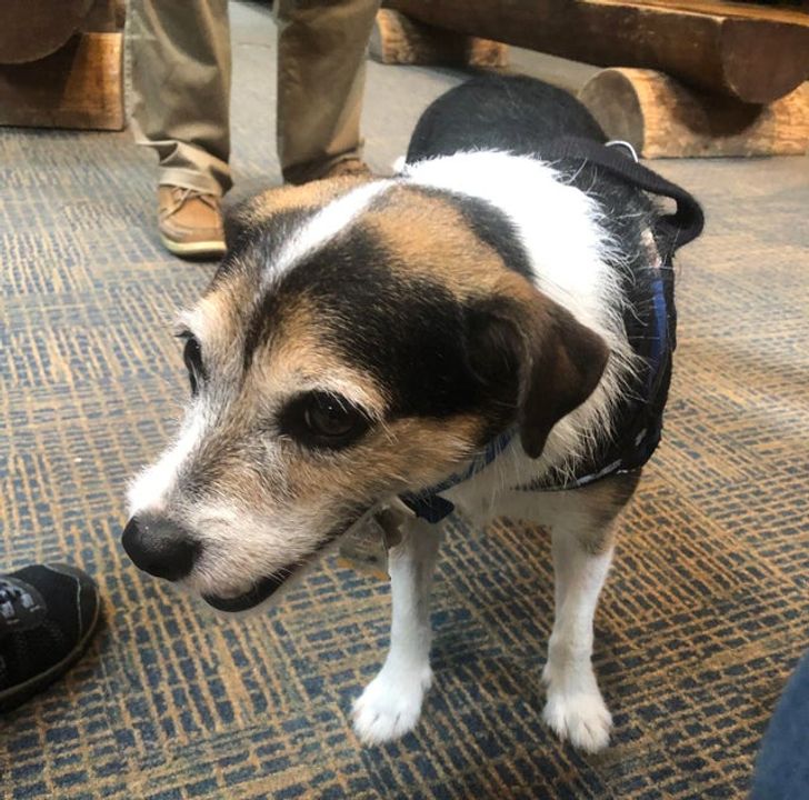 d7f5d95280a31b96ca7dfc2a1b