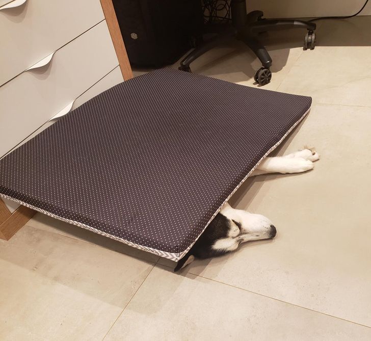 d7ff6d50229b5a0dfac4e68cb0