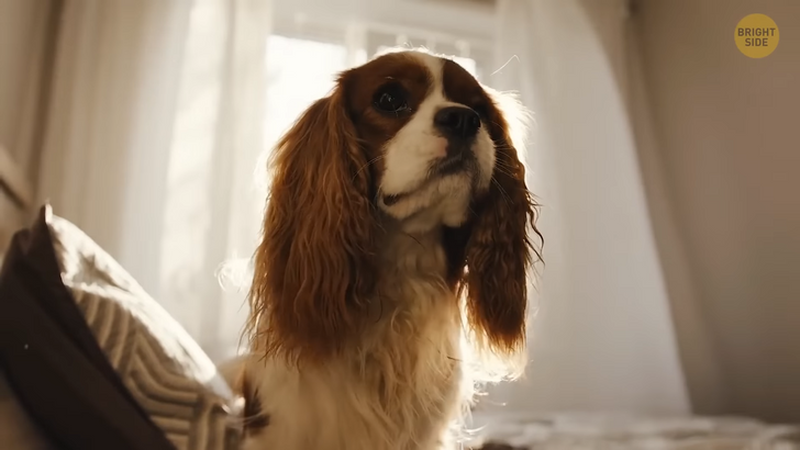 d8049359a1a046cd8c8801a732