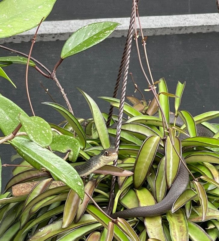 d806355f66ae684f17b22a4911