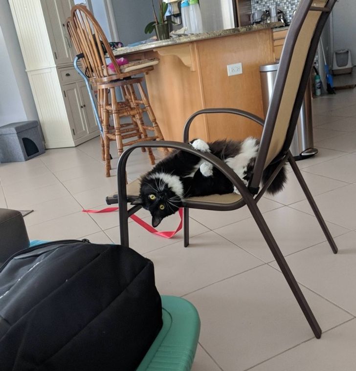 d80894542391af93f70c056eee