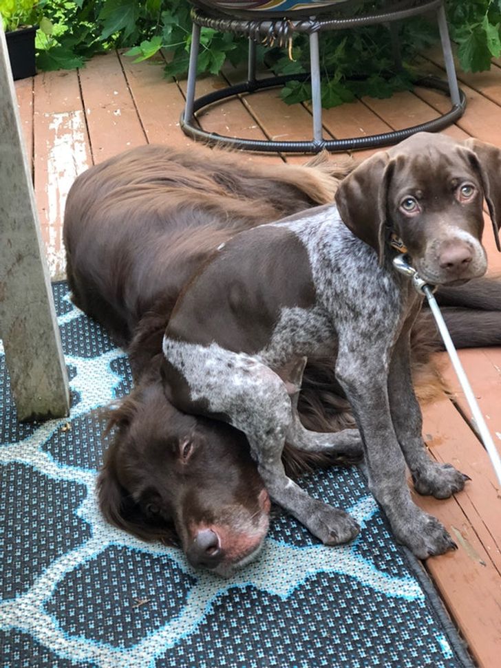 d80f3758e3a11b9d81e94e92f6 d80f3758e3a11b9d81e94e92f6