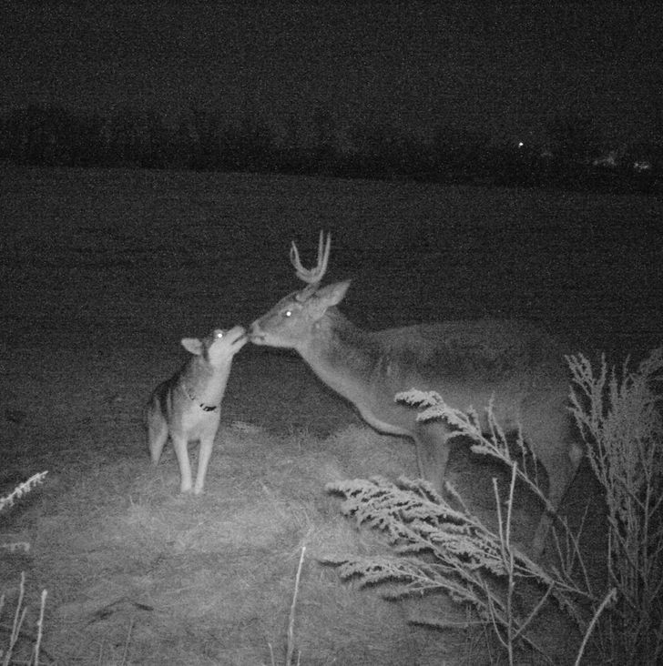 d8134c5835954c1eab3e0349eb