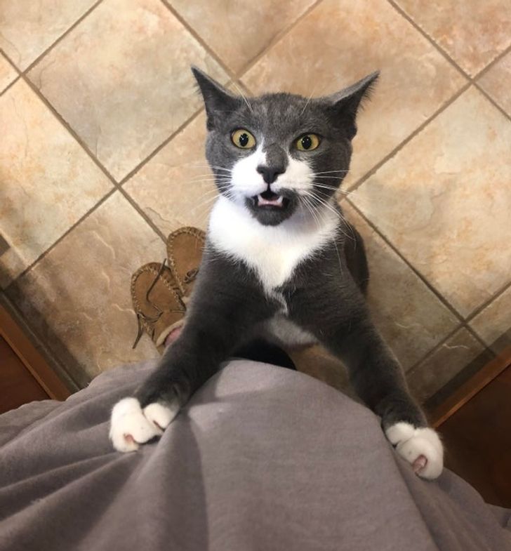 d814055c939aca3641a79993e5