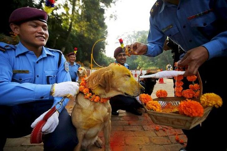 d823fc5b0299556001cefdbf28