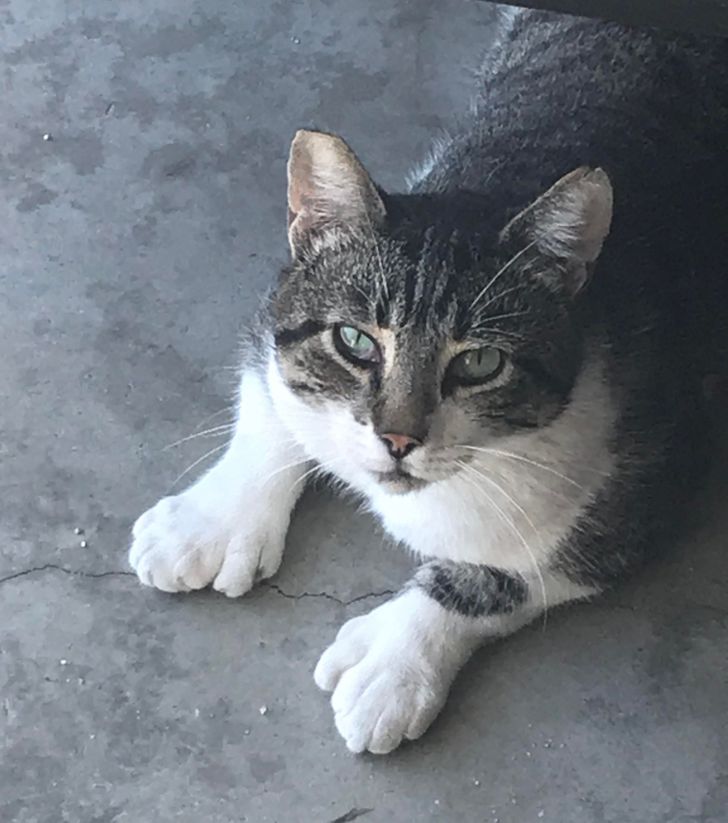 d8240d5a5aad904ecaf6f13b4d