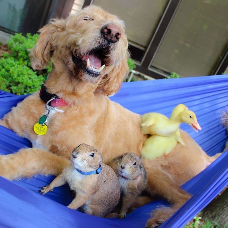 d82d6d599a8c01130c46acf832